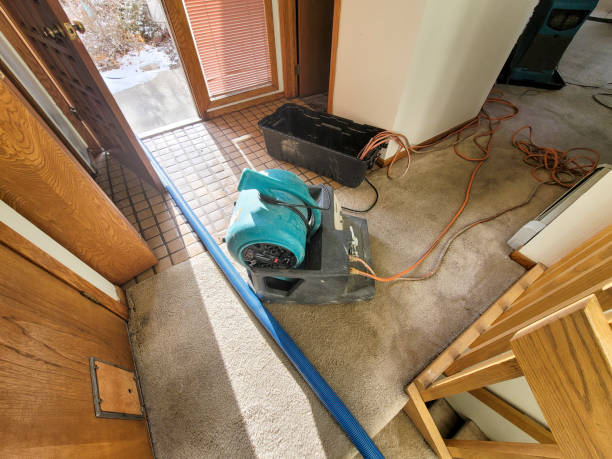 Best Water damage restoration near me  in Poipu, HI