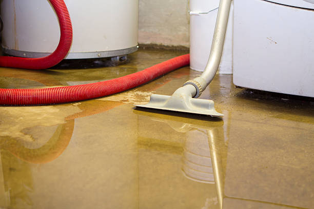 Best Water damage contractors near me  in Poipu, HI