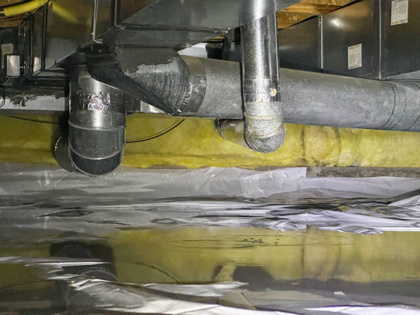 Best Ceiling water damage repair  in Poipu, HI
