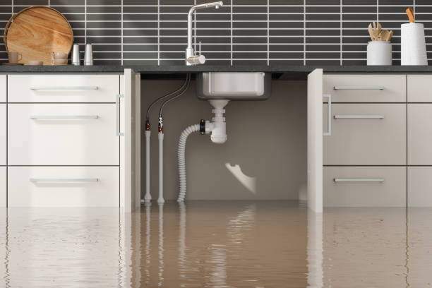 Best Residential water damage restoration  in Poipu, HI