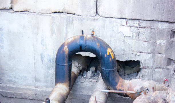 Best Professional water damage repair  in Poipu, HI